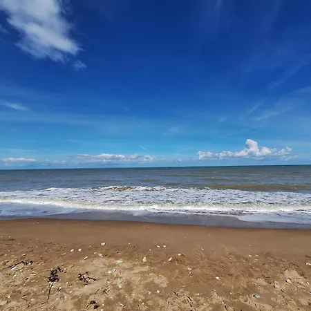 公寓 Super Deauville 2 Pieces Cosy Proche Plein Sud