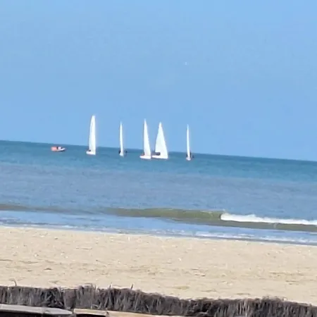아파트 Le Cocon De Deauville, A Deux Pas De La Plage, Du Centre Et Du Casino