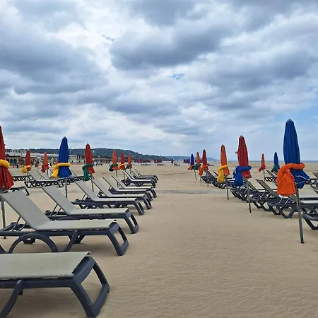 Le Cocon De Deauville, A Deux Pas De La Plage, Du Centre Et Du Casino 아파트 빌레쉬르메르