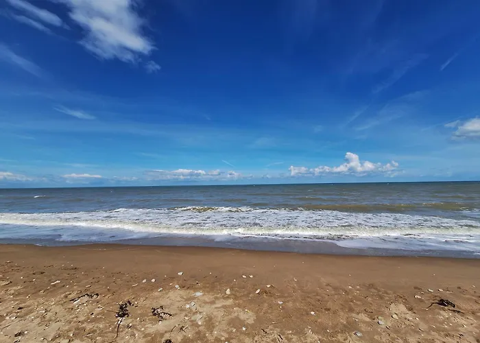 Lejlighed Super Deauville 2 Pieces Cosy Proche Plein Sud